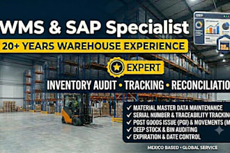 do expert wms and sap inventory audit, tracking, and data reconciliation