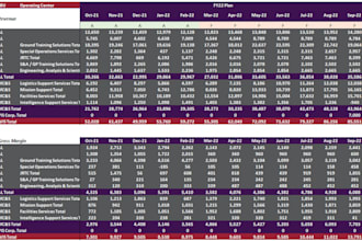 build a professional financial model for you