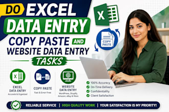 do excel data entry, copy paste and website data entry tasks