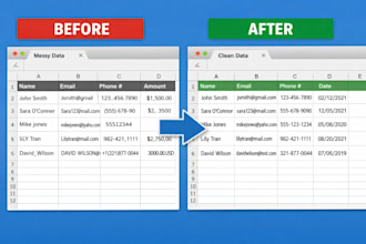 perform fast and accurate data entry, excel cleanup, and CSV conversion