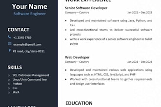 design a professional CV and resume