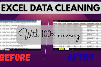 do excel data cleaning, formatting and analyzing