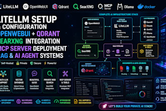 litellm setup qdrant, openwebui, searxng, mcp server developer mcp integration