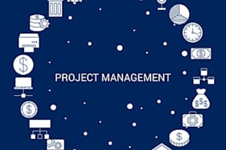 financial and portfolio management with executive reporting