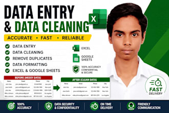 do data entry and data cleaning in microsoft excel