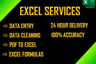 do data entry and data cleaning in microsoft excel