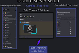 create a professional discord server with bots, roles, and channels