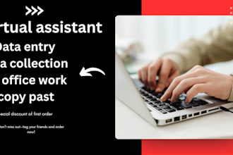do data entry ms office work database and copy paste work