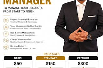 manage your IT project, team, timeline and client delivery