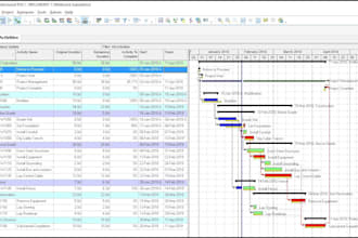 prepare schedule for projects on ms project or primavera