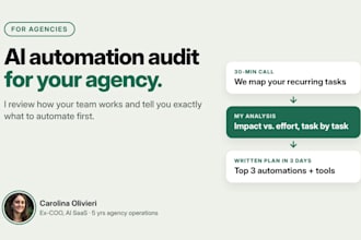 do an ai automation audit for your agency