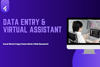 do professional data entry and copy paste work