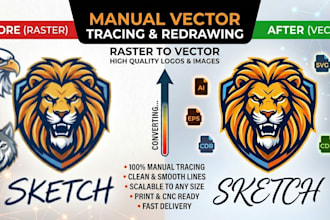 do professional manual vector tracing