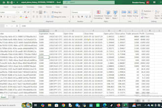 provide fast data entry and copywriting