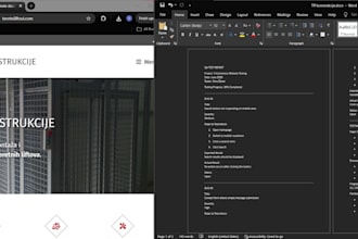 test your website and provide a professional bug report