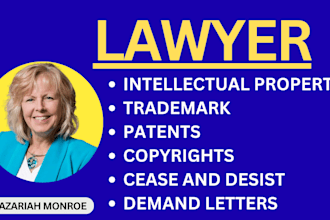 provide you IP legal consultation