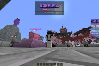 creat an entire minecraft server for you