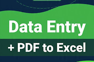 do fast and accurate data entry, PDF to excel in 12 hours