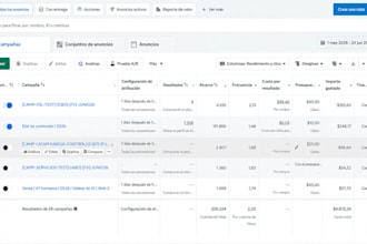 manage meta ads campaigns for lead generation