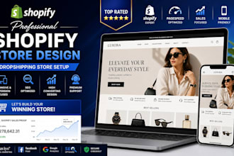do a professional shopify conversion optimization