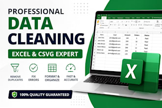 do professional data cleaning in excel and CSV files
