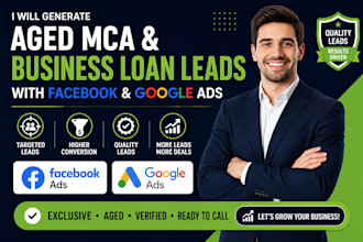generate aged mca and business loan leads with facebook and google ads