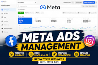 manage facebook instagram ads for local businesses