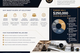 create a professional investor pitch deck