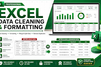 clean, format, merge, split excel data