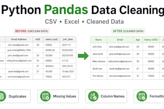 clean and organize excel or csv data using python pandas
