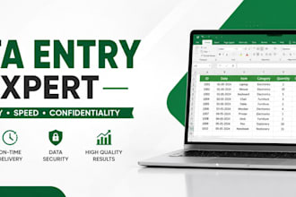 do fast and accurate data entry, copy paste and excel work