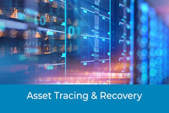 provide professional asset tracing and financial investigation
