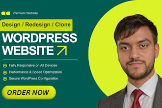 do wordpress website development, design , redesign business or blog website