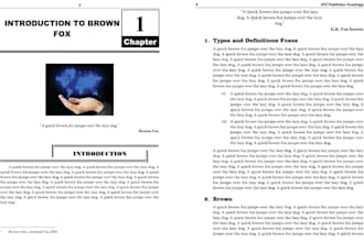 do professional ms word book formatting