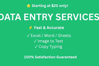 do fast and accurate data entry and copy typing