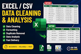 clean, format and analyze excel or csv data