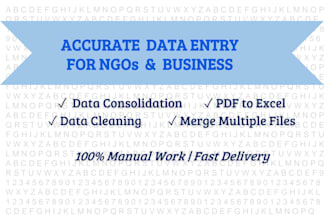 do excel data entry and data consolidation for ngos