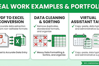 do expert data typing and excel data entry