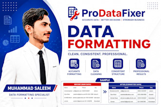 do professional excel data formatting and cleanup
