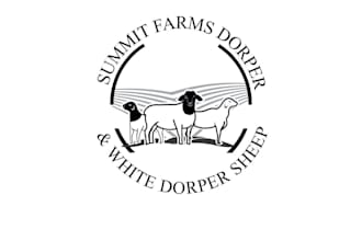 design a sheep logo