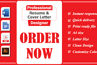 deliver a professional CV, resume design