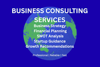 provide business consulting and financial planning services