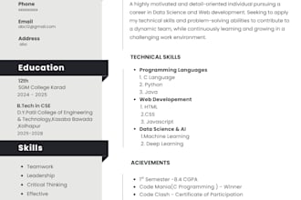 create a modern professional resume and CV design