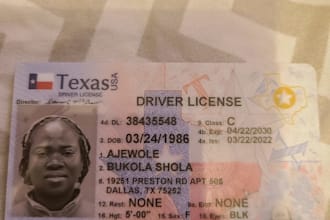 provide ss card and social security search