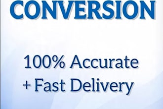do fast and accurate pdf to word typing and data entry