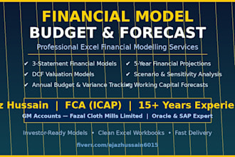 build a financial model, business valuation, budget, or forecast in excel