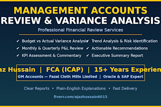 review your management accounts and provide variance analysis