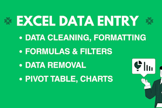 do excel data entry, formulas, formatting and pivot table