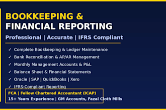 handle your bookkeeping and financial reporting
