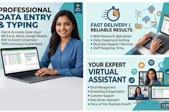 professional data entry work
